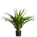 31" Artificial Agave Plant w/Plastic Pot -Green (pack of 2) - LPA730-GR