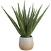 20" Aloe Artificial Plant w/Plastic Pot -Green - LPA812-GR