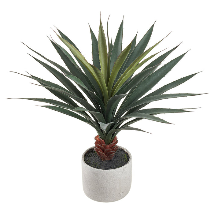 23" Agave Succulent Artificial Plant w/Cement Pot -Green (pack of 2) - LPA935-GR