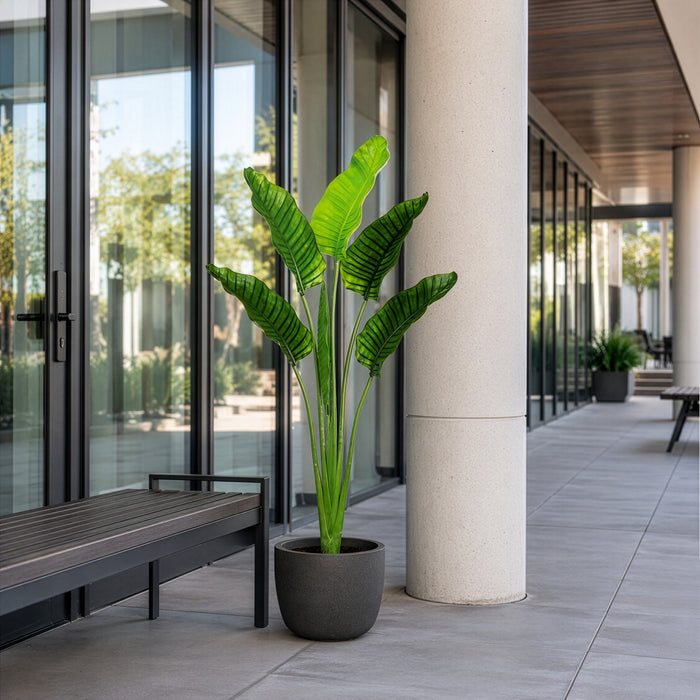 5'4" Outdoor UV-Resistant Artificial Bird Of Paradise Plant w/Pot -Green (Pack of 2) - LPB005-GR