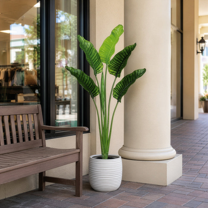 5'4" Outdoor UV-Resistant Artificial Bird Of Paradise Plant w/Pot -Green (Pack of 2) - LPB005-GR