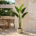 5'4" Outdoor UV-Resistant Artificial Bird Of Paradise Plant w/Pot -Green (Pack of 2) - LPB005-GR