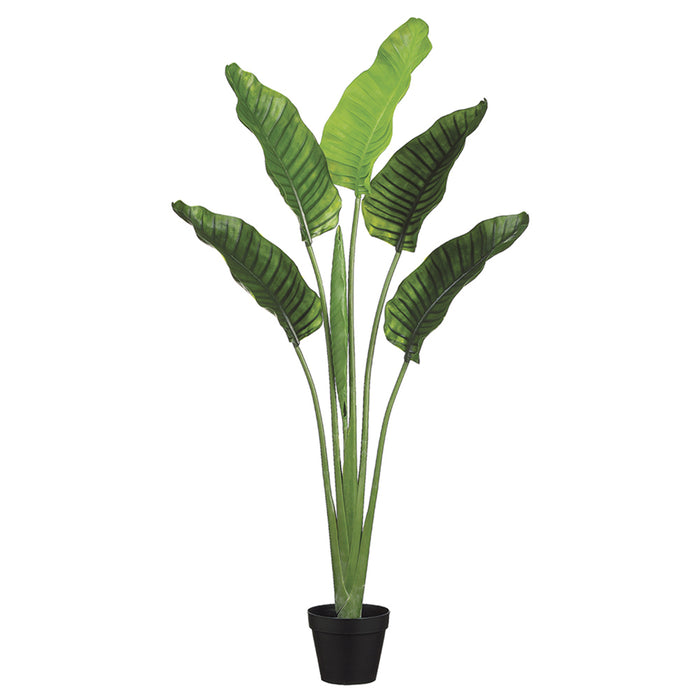 artificial silk bird of paradise palm tree potted plant 5'4" Outdoor UV-Resistant Artificial Bird Of Paradise Palm Tree w/Pot -Green (Pack of 2)