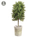 16" Boxwood Cone-Shaped Artificial Topiary Plant w/Clay Pot -Green (pack of 8) - LPB009-GR