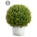 17.5" Boxwood Ball-Shaped Artificial Topiary w/Clay Pot -Green - LPB017-GR