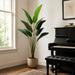 6'6" Silk Bird Of Paradise Plant w/Pot -Green (Pack of 2) - LPB026-GR