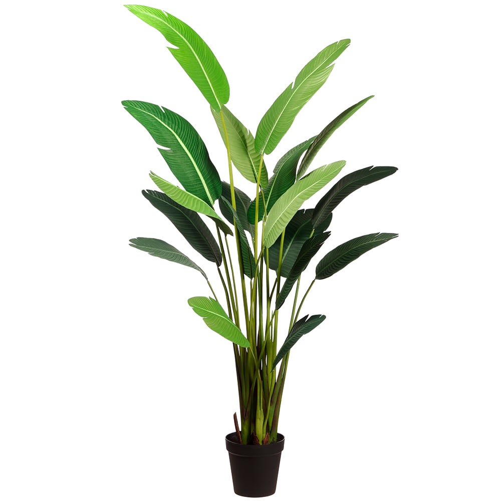 artificial silk bird of paradise palm tree potted plant 7'11" Silk Bird Of Paradise Palm Tree w/Pot -Green (Pack Of 2)