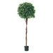 5' Bay Leaf Laurel Ball-Shaped Silk Topiary Tree With Braided Trunk w/Pot -Green (Pack of 2) - LPB035-