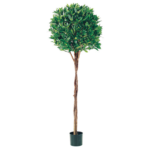 5' Bay Leaf Laurel Ball-Shaped Silk Topiary Tree -Braided Trunk w/Pot -Green (pack of 2) - LPB035
