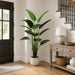 6'3" Silk Bird Of Paradise Plant w/Pot -Green (Pack of 2) - LPB072-GR