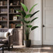 6'3" Silk Bird Of Paradise Plant w/Pot -Green - ZPB072-GR