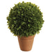12" Boxwood Ball-Shaped Artificial Topiary Plant w/Cement Pot -Green (Pack of 2) - LPB137-GR
