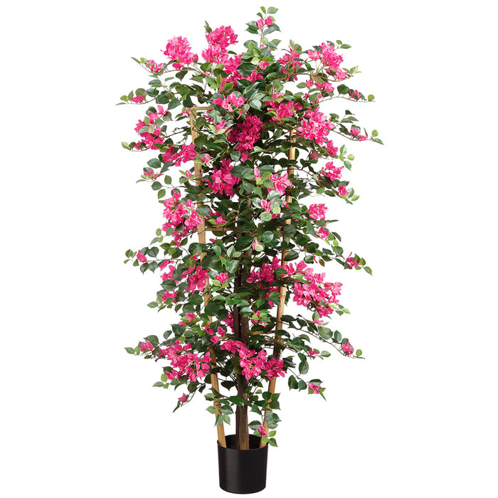 bugambilia plant in pot 4'7" Bougainvillea Flower On Trellis Silk Plant w/Pot -Beauty (Pack of 2)