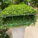 31.5"Hx23.5"Wx8"D Outdoor UV-Resistant Artificial Boxwood Topiary Hedge -Green - LPB243-GR