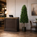 5'6" Boxwood Cone-Shaped Artificial Topiary Tree w/Pot -Green - LPB265-GR/TT