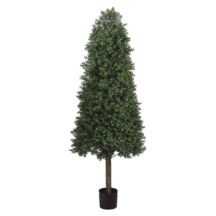 5'6" Boxwood Cone-Shaped Artificial Topiary Tree w/Pot Indoor/Outdoor -Green - LPB265-GR/TT