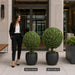 36"Hx24"W Boxwood Ball-Shaped Artificial Topiary Tree w/Pot -Green - LPB366-GR