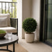 23.5" Boxwood Ball-Shaped Artificial Topiary w/Pot -Green (Pack of 2) - LPB446-GR