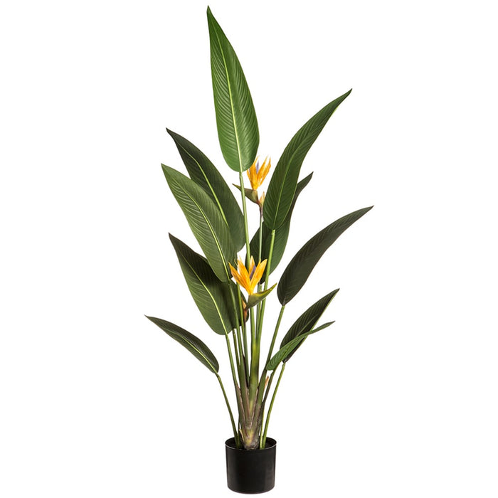 5' Flowering Silk Bird Of Paradise Palm Tree w/Plastic Pot -Green/Orange (pack of 2) - LPB505-GR/OR