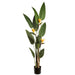 6' Flowering Silk Bird Of Paradise Palm Tree w/Plastic Pot -Green/Orange (pack of 2) - LPB507-GR/OR