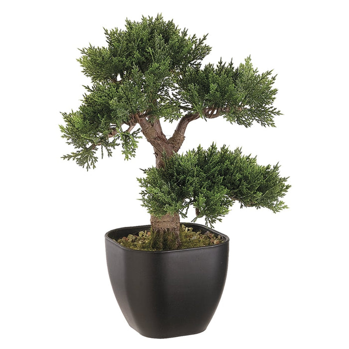 artifical silk bonsai tree 15" Artificial Cedar Silk Bonsai Tree w/Container -Green (Pack of 6)