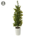 21" Boxwood Cone-Shaped Artificial Topiary w/Clay Pot -Green (Pack of 6) - LPB811-GR