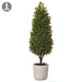 31.5" Boxwood Cone-Shaped Artificial Topiary w/Clay Pot -Green - LPB812-GR