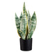 19" Sansevieria Snake Artificial Plant w/Pot -Variegated (pack of 2) - LPC035-VG