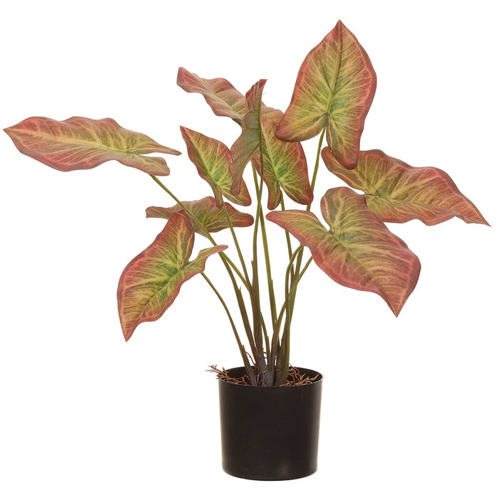 20" Calla Lily Leaf Silk Plant w/Pot -Mauve/Green (pack of 6) - LPC102-MV/GR