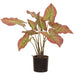 20" Calla Lily Leaf Silk Plant w/Pot -Mauve/Green (pack of 6) - LPC102-MV/GR