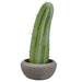 19" Column Cactus Artificial Plant w/Cement Pot -Green - LPC223-GR