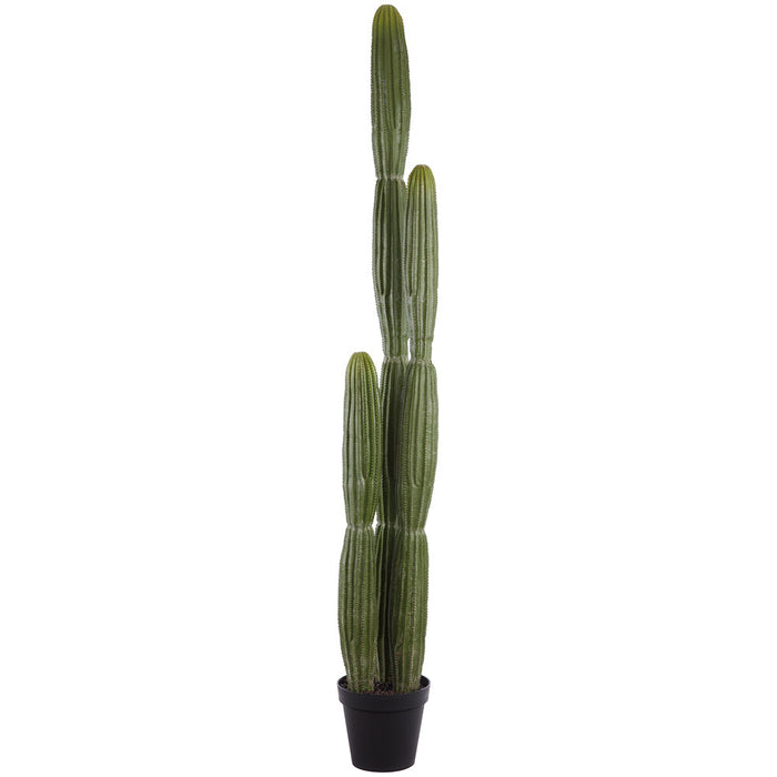 6'2" Column Cactus Artificial Plant w/Plastic Pot -Green (Pack of 2) - LPC412-GR