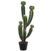 35" Peruvian Cactus Artificial Plant w/Plastic Pot -Green (Pack of 2) - LPC435-GR