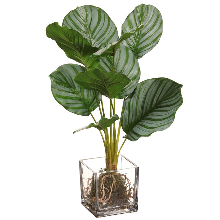 17" Calathea Leaf Silk Plant w/Glass vase -Green (pack of 4) - LPC543-GR