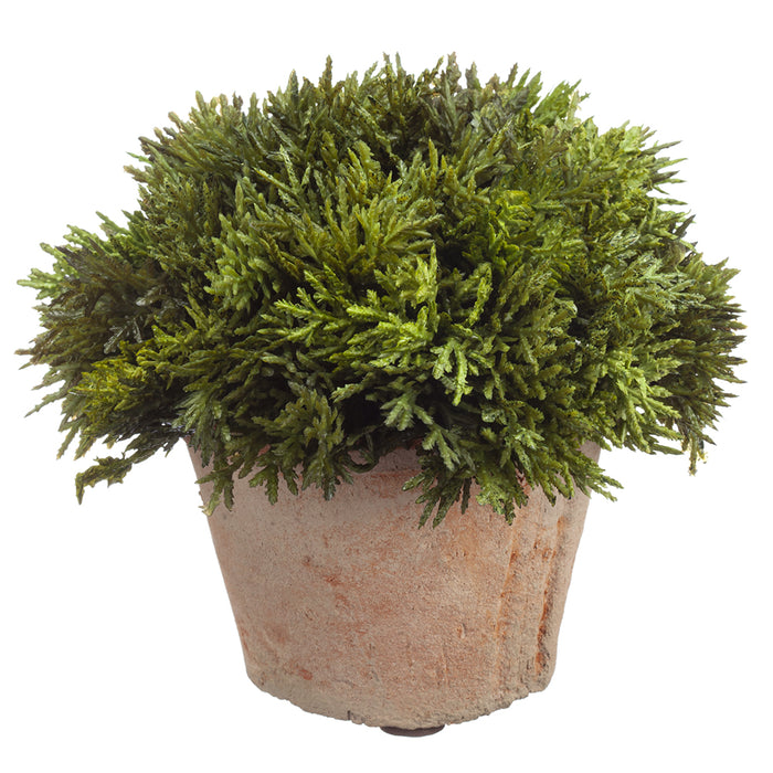 6" Artificial Cypress Plant w/Clay Pot -Green (pack of 12) - LPC641-GR