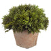 6" Artificial Cypress Plant w/Clay Pot -Green (pack of 12) - LPC641-GR