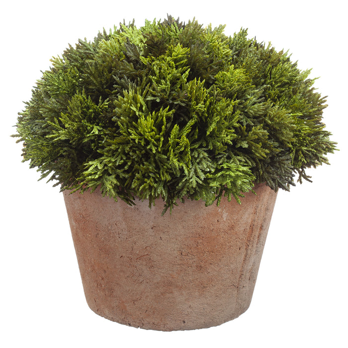 8" Artificial Cypress Plant w/Clay Pot -Green (pack of 4) - LPC642-GR