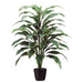 40" Cordyline Silk Plant w/Pot -Green/White (pack of 4) - LPC840-GR/WH