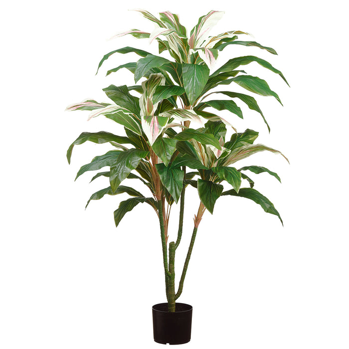 4'7" Real Touch Cordyline Silk Plant w/Plastic Pot -Green/Cream (pack of 2) - LPC925-GR/CR