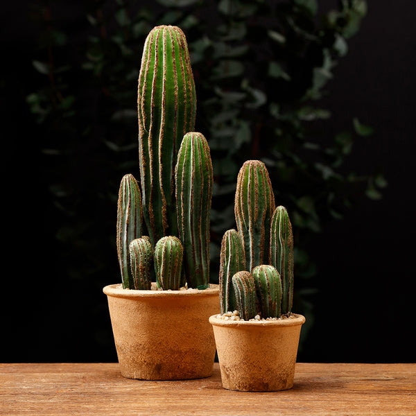 9.5" Artificial Column Cactus Plant w/Papier Mache Pot -Green (pack of 6) - LPC949-GR