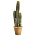 26" Artificial Column Cactus Plant w/Papier Mache Pot -Green (pack of 2) - LPC951-GR