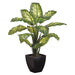 40" Dieffenbachia Silk Plant w/Plastic Pot -Green/Variegated (pack of 4) - LPD038-GR/VG