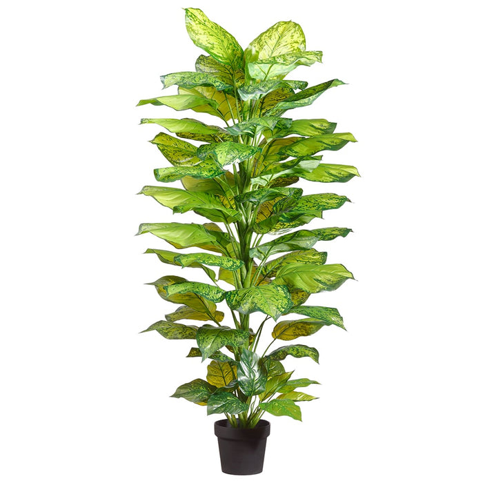 silk dieffenbachia 52" Potted Artificial Dieffenbachia Plant