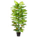 4'4" Silk Dieffenbachia Plant w/Plastic Pot -2 Tone Green (pack of 2) - LPD041-GR/TT