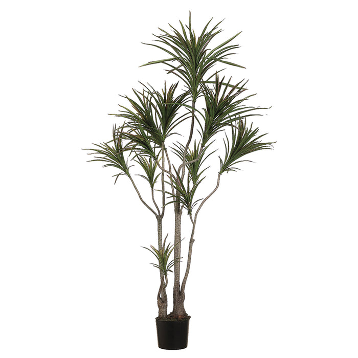 6' Outdoor Water Resistant Artificial Dracaena Marginata Tree w/Pot -Green/Burgundy (pack of 2) - LPD516-GR/BU