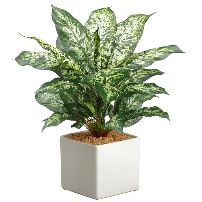 17.5" Dieffenbachia Silk Plant w/Ceramic Pot -Green/Variegated (pack of 3) - LPD517-GR/VG