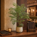 27" Delonix Regia Leaf Silk Plant w/Plastic Pot -Green (Pack of 4) - LPD532-GR