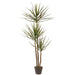 5' Multi Trunk Dracaena Silk Tree w/Pot -Green - LPD734-GR
