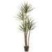 6' Multi Trunk Dracaena Silk Tree w/Pot -Green - LPD735-GR