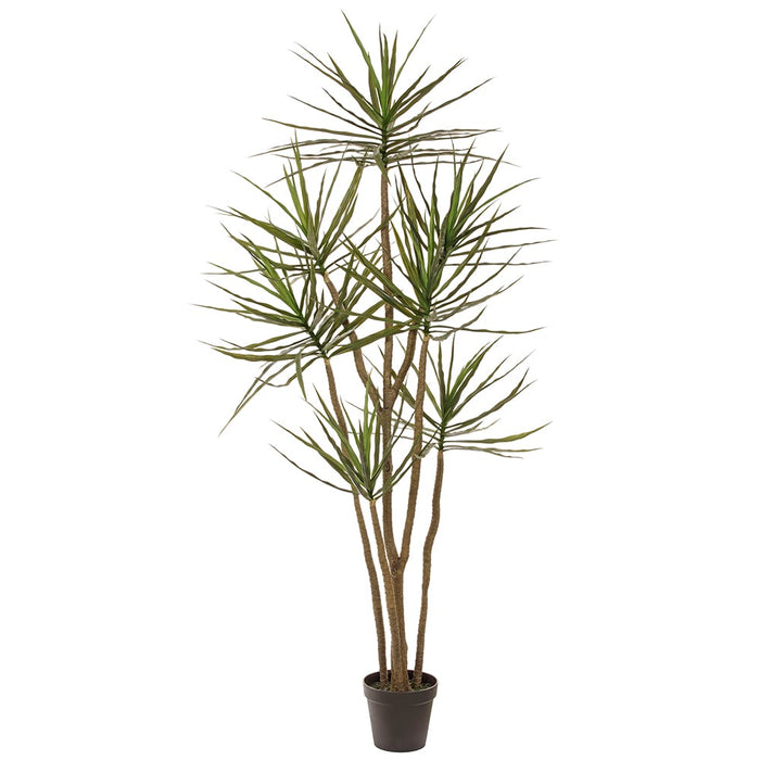 corn stalk dracaena silk plant 7' Multi Trunk Dracaena Silk Tree w/Pot -Green